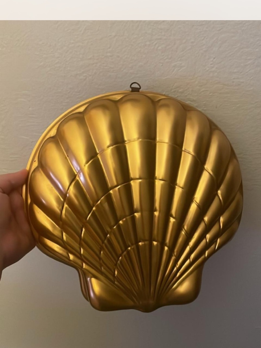 Gold Shell Wall Decor - Metallic Seashell Accent or Cake Pan Jello Mold